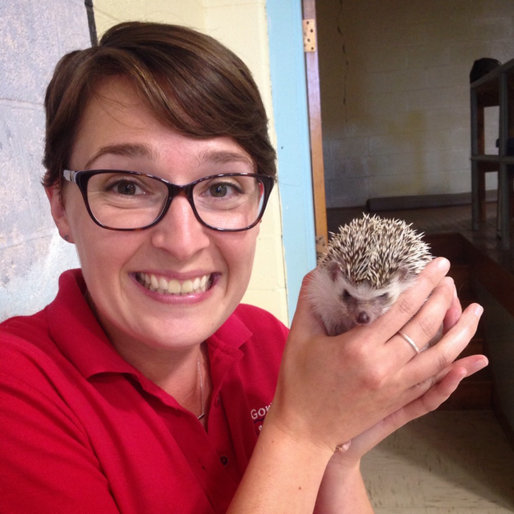 Meet your Posher, Amanda